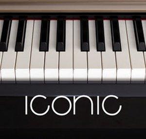 Pianist Iconic