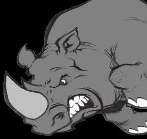 rhino scratches