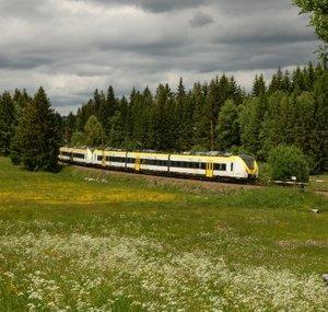 S1 nach Seebrugg