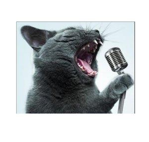 Scratchawin's Karaoke