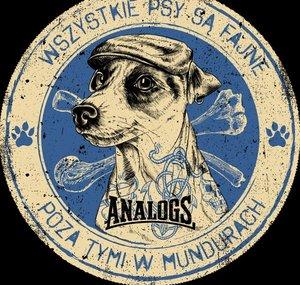 TheAnalogsTV