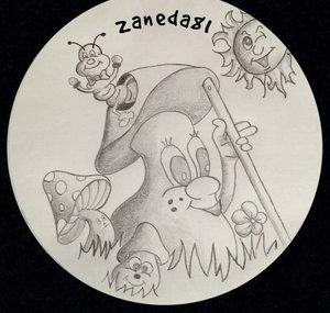zaneda81
