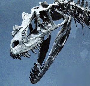 C-Rex