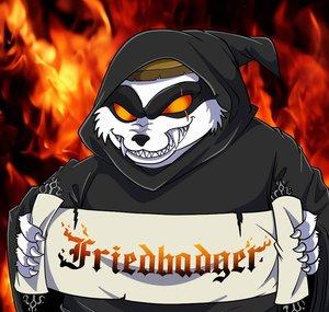 FriedBadger