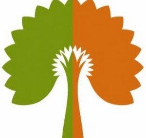 Hull Forest Products