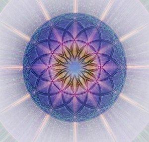 illume in essence