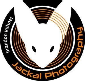 Jackal Photography