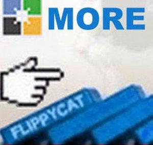 MoreFlippyCat