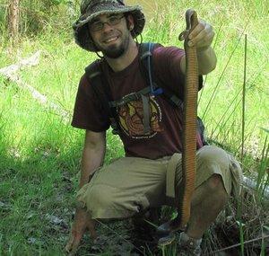 Never Ending Herping
