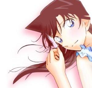Ran Shinichi