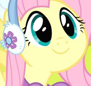 Shynestian 2