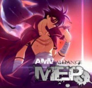 TheAMVAllianceMEPs