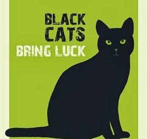 TheBlackcatfeline