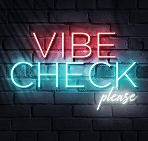 Vibe Check Please