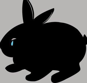 Bunny Tears