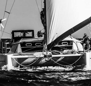 CATAMARAN BLACK LION