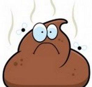 ChunksOfPoo