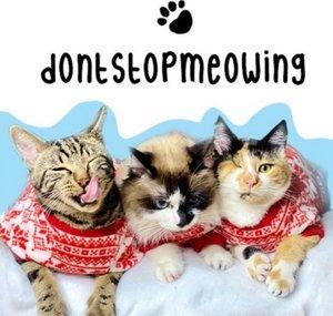 DontStopMeowing