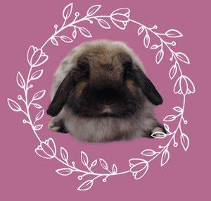 FuzzieLops