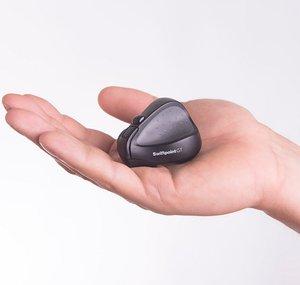Little Mouse