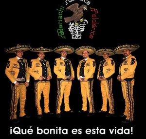 Mariachi México Folclórico