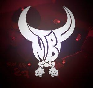 NickTheBullsFan
