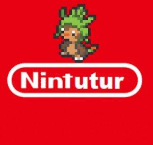 Nintutur