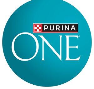 Purina ONE Cat