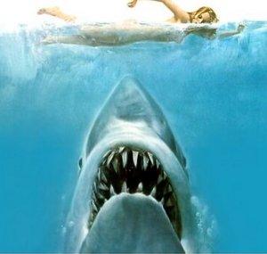 Shark Girl Madison