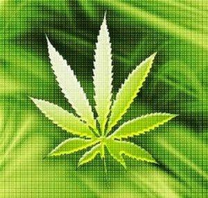 The420weedlover