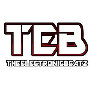 TheElectronicBeatz