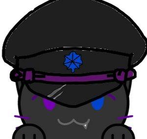 Commander Kitten