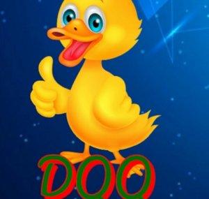 Ducky Quack Quack