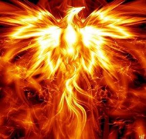 FirePhoenix75