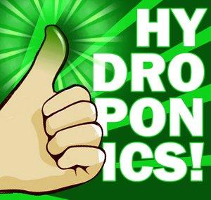 HowToHydroponics