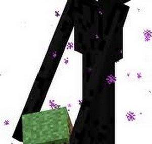 MegaKittycraft