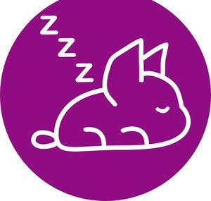 Relax Your Dog - Calming Music and TV
