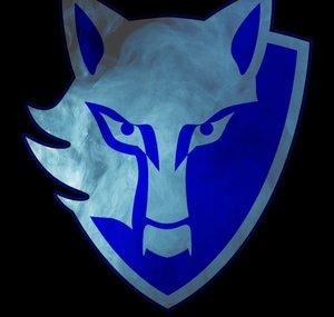Shadowfighterpro