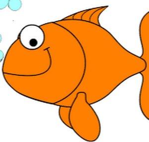 The Gold Fish l Does it all