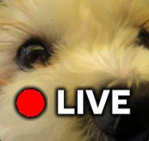 TheMisterEpicLIVE