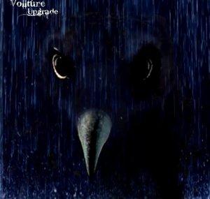 Vollture