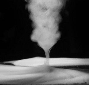 Vorticity Ty