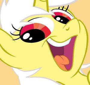 ZEO EL PONY