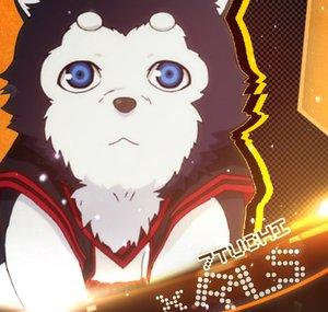 7Tuchi