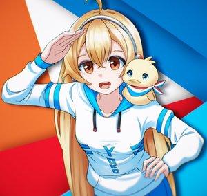 AMV Netherlands