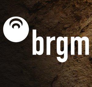 brgmTV