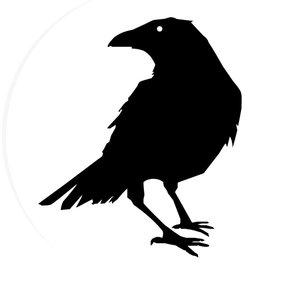 Gathering of Crows
