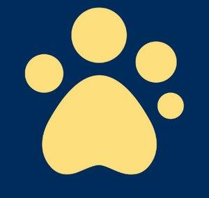 Guide Dogs