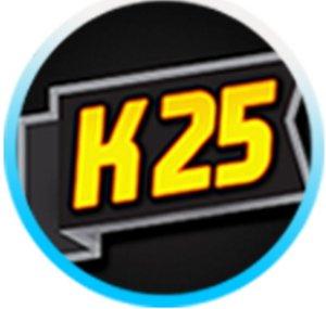 Kamz 25