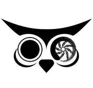 Photo Owl Time Lapse